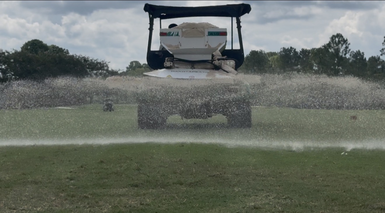 Topdressing sand being applied to golf turf