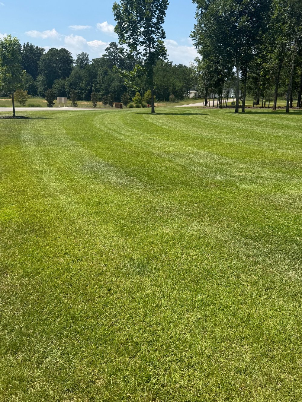 Property Maintenance service from Finish Line Turf and Pest in South Georgia